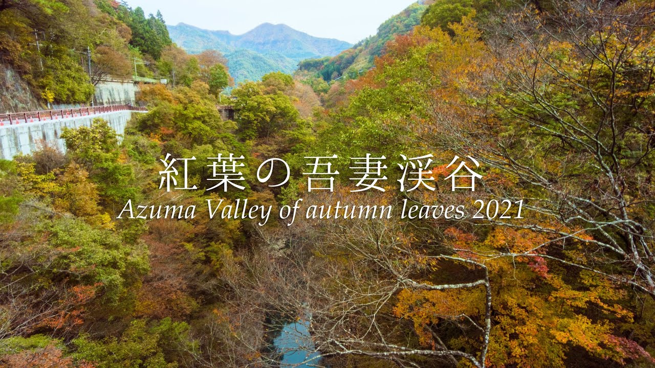 風景 紅葉の吾妻渓谷 名勝散策 Agatuma Valley Of Autumn Leaves 21 Youtube