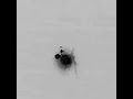 IDF AIR STRIKES IN THE GAZA STRIP