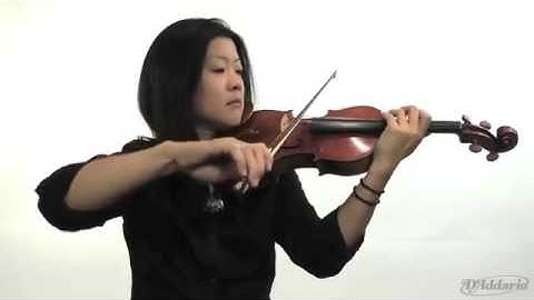 Encordado DAddario Prelude Strings for Violin Viola Cello  Double Bass