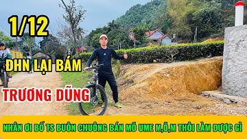 Thôi Đi Đinh Hoàng Nhân Ơi Bố Ts Buôn Chuông Bán Mõ UME Minh Tuệ Chỉ M,Õ,M Trương Dũng🍏NHI ÐT VLOG 2