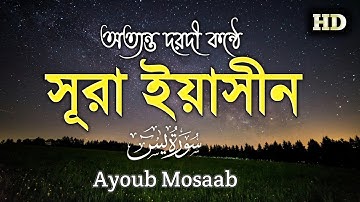 অত্যন্ত দরদী কন্ঠে সূরা ইয়াসীন┇ ( سورة يس)Surah yasin ┇ By - Ayoub Mosaab