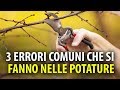 3 Errori Comuni che si Fanno nelle Potature