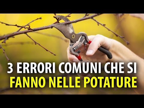 Video: Potatura Del Melo Giovane: In Autunno E Primavera. Come Potare Correttamente Nel Secondo Anno Dopo La Semina E Nel Primo? Formazione Della Corona Per Principianti Nel Terzo Anno