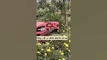 Test Máy Cắt Cỏ Điều Khiển Từ Xa
