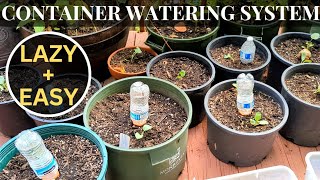 Best way to water container plants  Olla spikes vs Plastic bottle