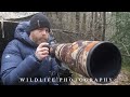 My FOREST friends // WILDLIFE PHOTOGRAPHY with Nikon Z6 II - red squirrel