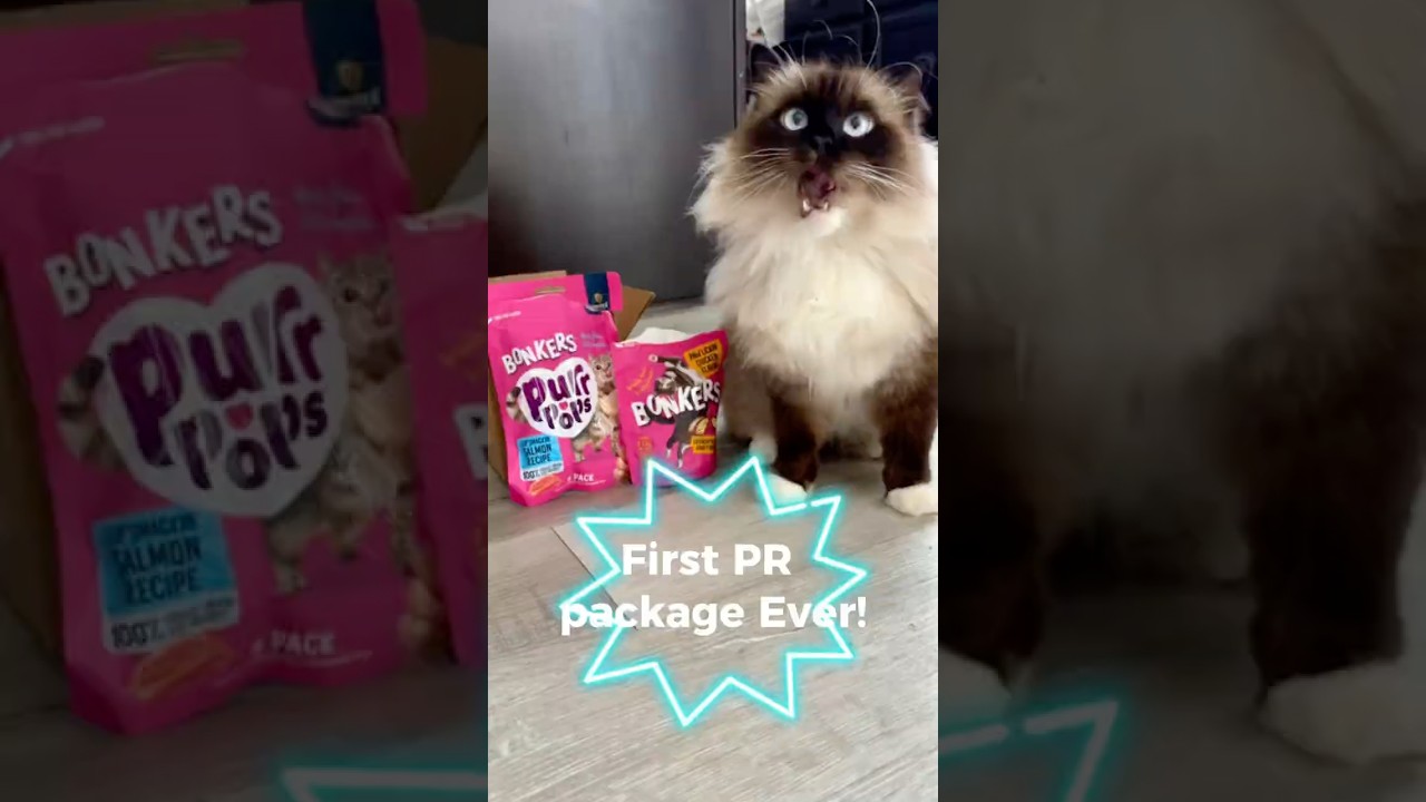 My first PR package form my favorite treat company! 