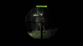 DEER HUNTING | Using Tactacam 5.0 with the FTS Mount