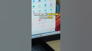 Ngủ đông và Sleep khác gì nhau? Nên xài cái nào? #shorts