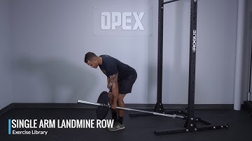 Single Arm Landmine Row - OPEX Exercise Library