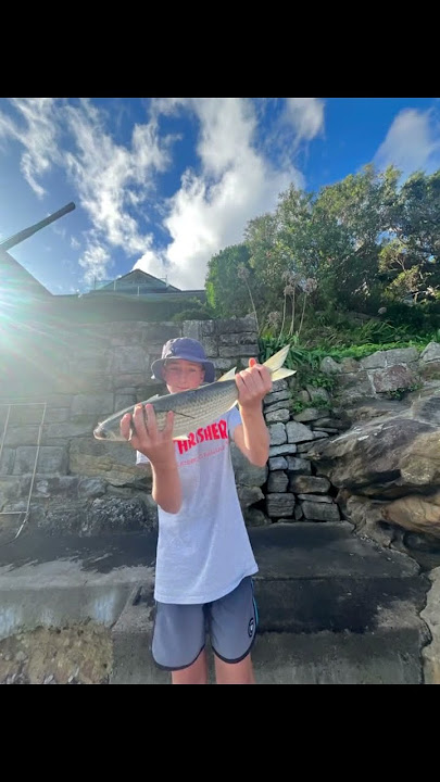 50cm mullet #fishing #fish #goviral #goviral