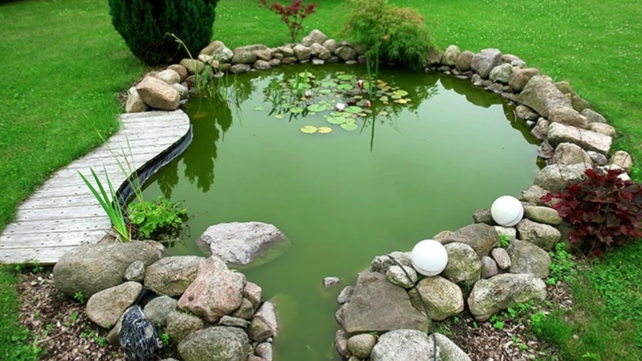 Pond