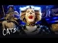 The Battle of Pekes and the Pollicles Part 1 | Cats the Musical