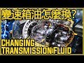 如何動手更換變速箱油？|10 Min Automatic Transmission Fluid Change