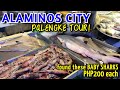 ALAMINOS CITY PALENGKE TOUR | Filipino Food Market in Alaminos Pangasinan, Philippines