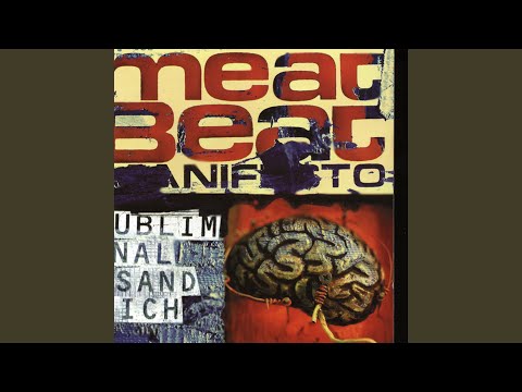 Meat Beat Manifesto — Simulacra