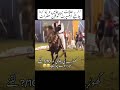 شوقین حضرات اگر گھوڑے کے یہ حالات بن جائیں تو کیا کریں Uk Horse Reels Viralreels گھوڑا 