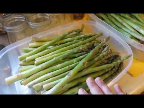 Video: Yuav Ua Li Cas Pickle Asparagus