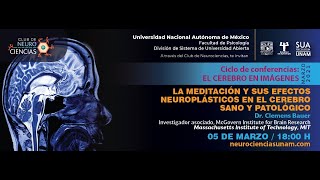 La meditación y sus efectos neuroplásticos en el cerebro sano y patológico