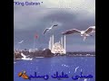 قلبي المتيم حالات ولا اروع mp3