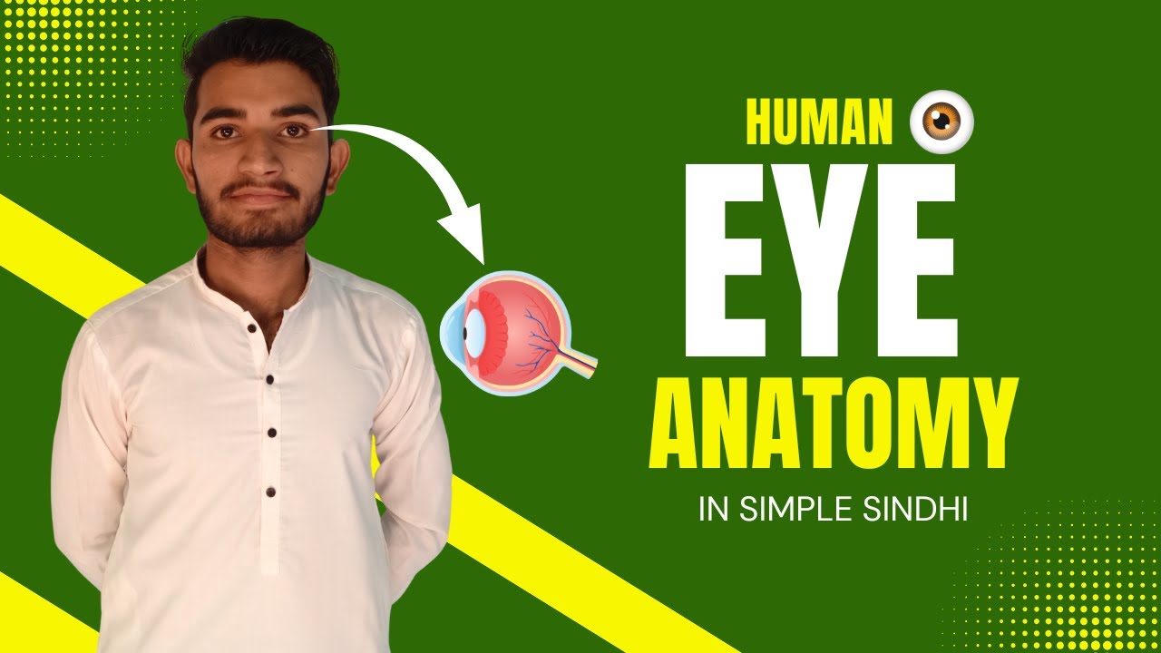 Human eye anatomy | Eye Structure | Human eye explained in sindhi
