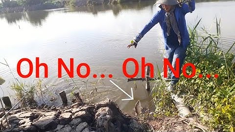 Cau cá chẽm, cá tráp ở Gò Công Đông, Tiền Giang || Câu cá chẽm ở Gò Công, Tiền Giang