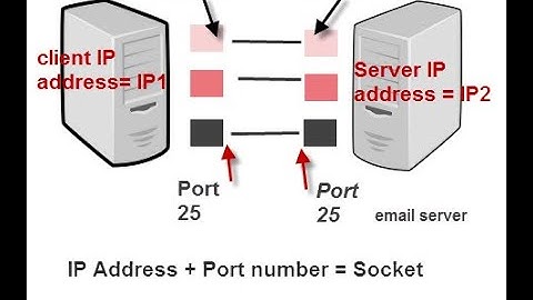 TCP Protocol - Multiplexing and Sockets