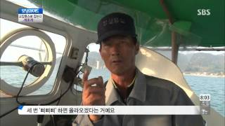 토요특집 모닝와이드 131109(다시보기) #5(4)