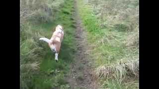 windy walk oct 3rd 046
