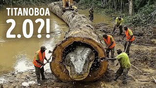 Snakes So Terrifying, Even Titanoboa Wouldn’t Dare Face Them