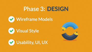 Website Design and Development Process video