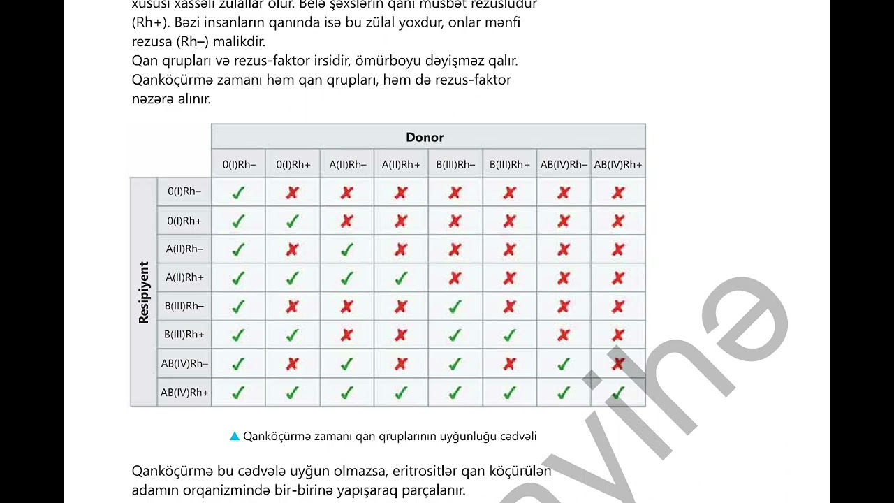 8-ci sinif Yeni Biologiya dərsliyi. Qan qrupları.