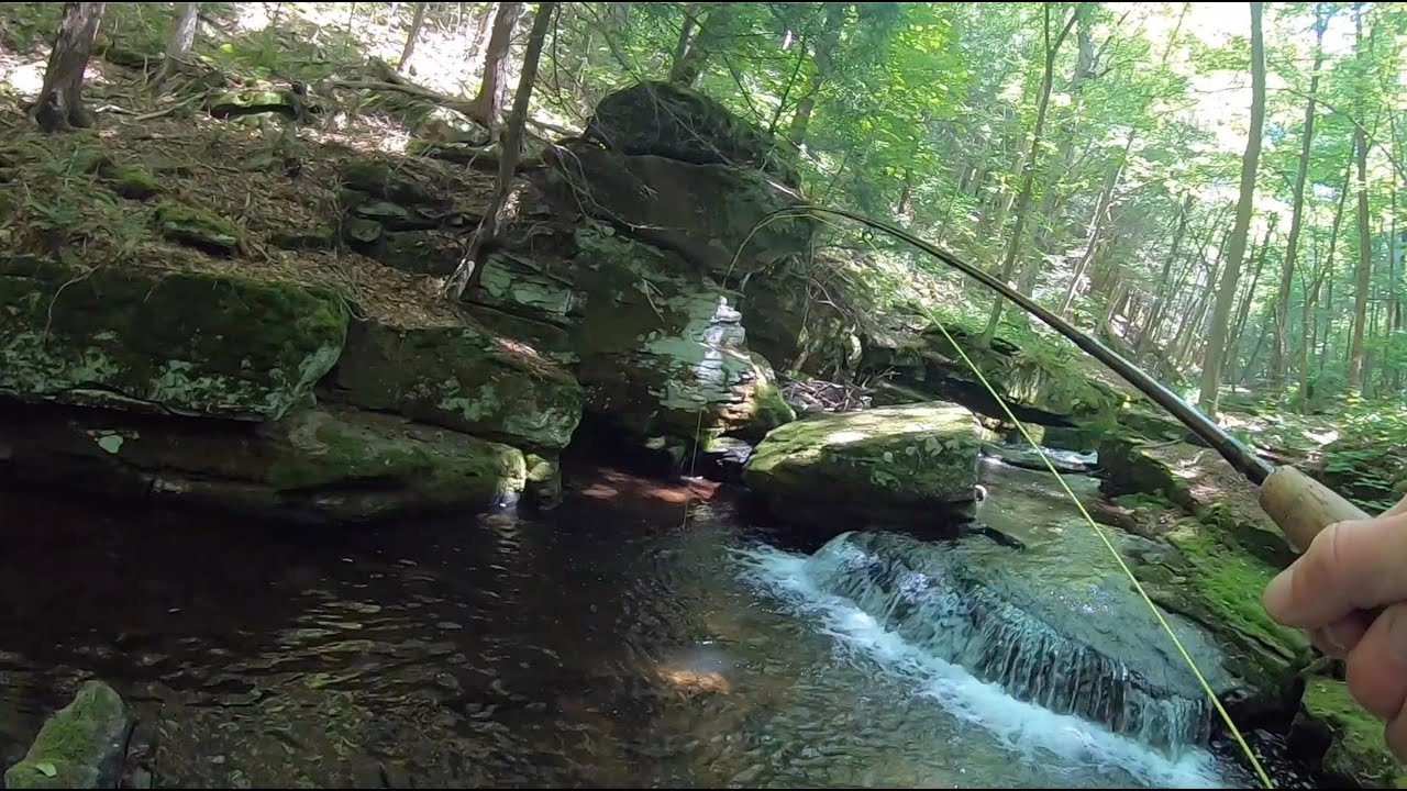 Fly fishing for NATIVE trout in the Catskills NY!