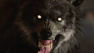 Custom Werewolf sound effect
