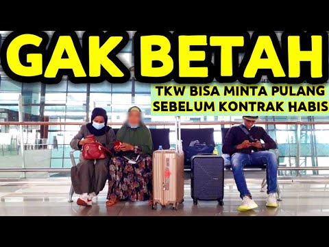 Video: Bagaimana cara meminta pulang karena sakit?