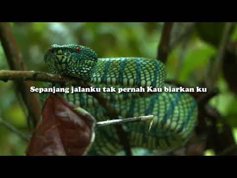 Grezia Ephiphania - Lagu Untuk Mama Papa Karoake Version/NoVokal