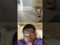 That one duck on your edit #phonk #remix #music #chip #duck