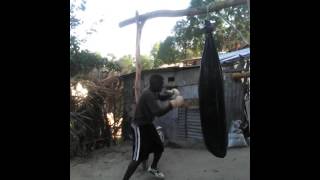 mczo mofani