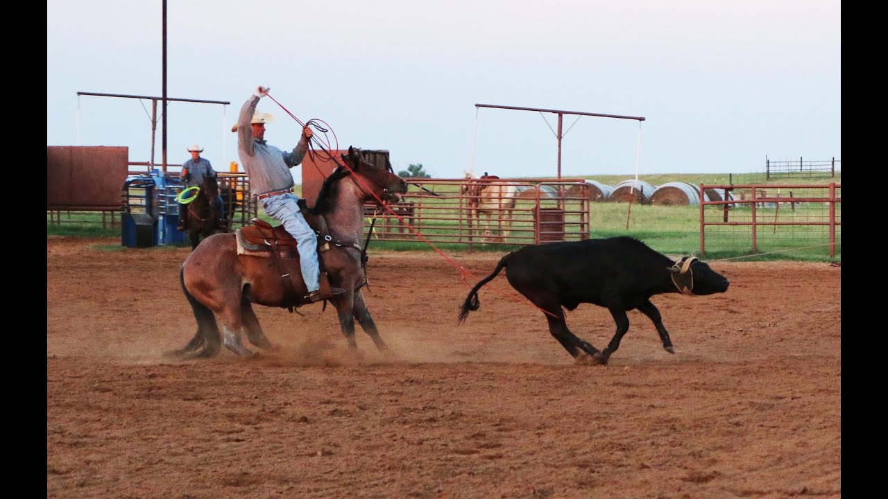 Pitzer Ranch Spring 2020 Sale Lot 56 IROC U - YouTube