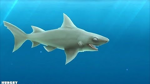 Hungry Shark Evolution Reef Shark Maxed Level Gameplay/Walkthrough Android