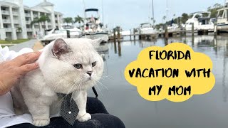 One Rainy DAY from Apollo's LIFE in FLORIDA!