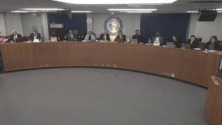 Committee of the Whole and City Council Meeting - February 11, 2026