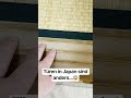 Türen in Japan sind ANDERS…😱