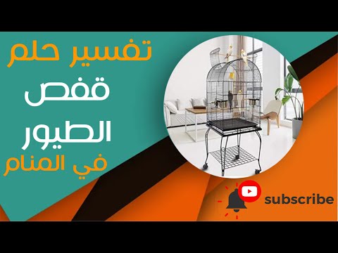 تفسير حلم قفص الطيور ما معنى رؤية قفص الطيور في المنام