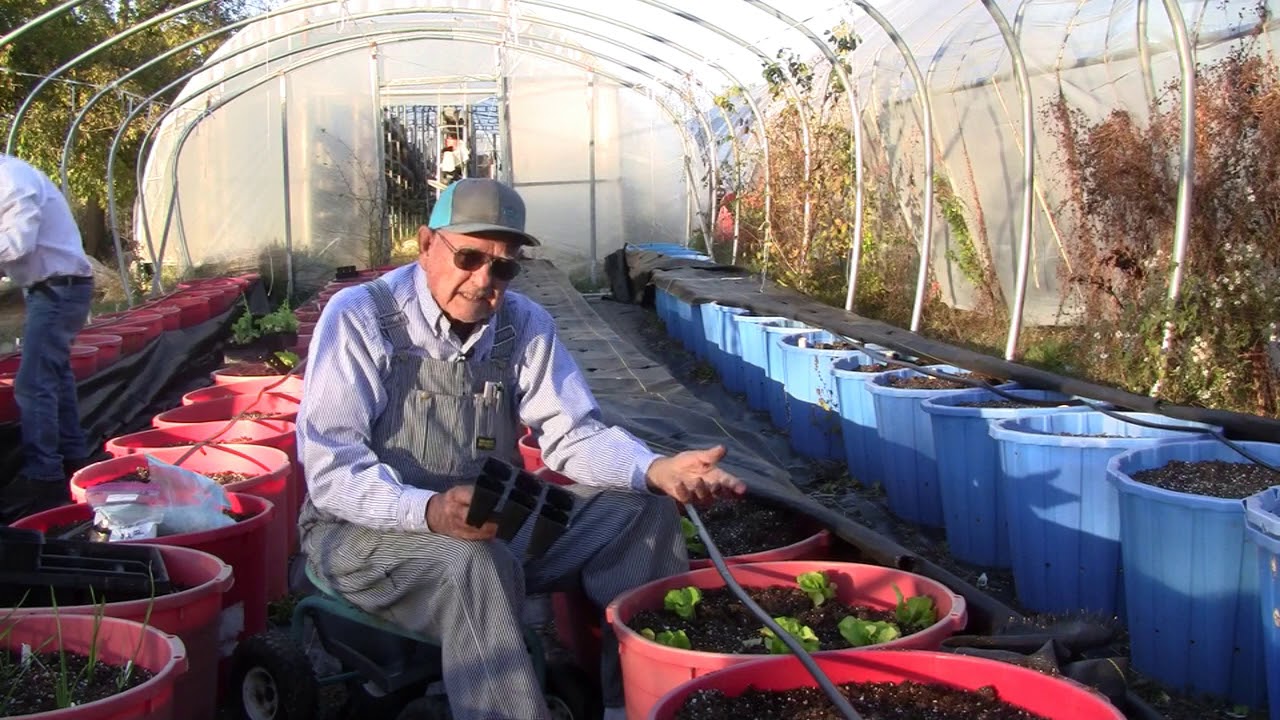 Planting Lettuce Ep 108 YouTube