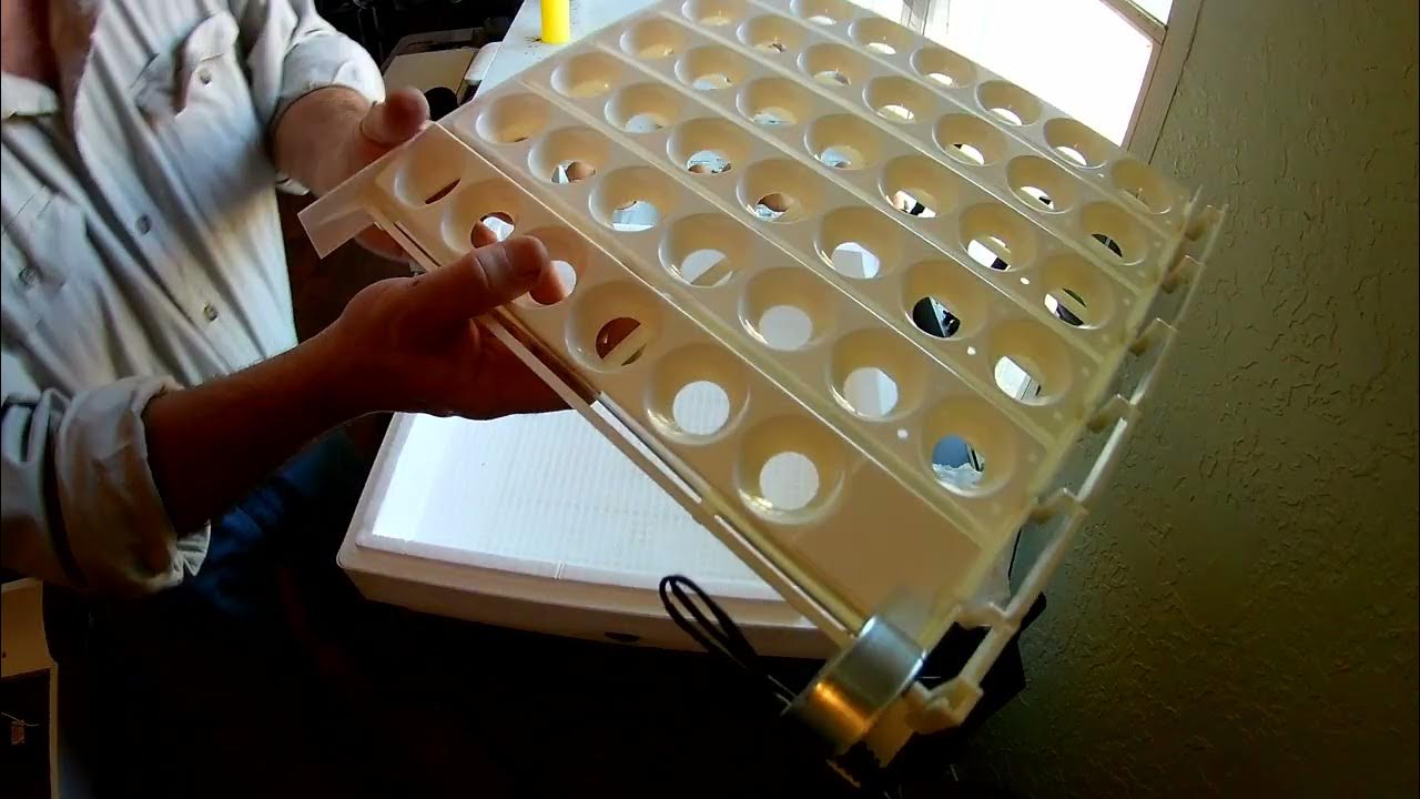 incubating chicken eggs going into lockdown pt3 YouTube