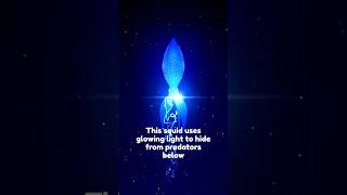 Ocean Animals That Glow in the Dark ✨🌊 #OceanFacts #Bioluminescence #MarineBiology