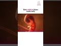 Check out the stages of development of human embryo: miracle of life