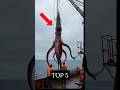MOST Amazing REAL LIFE Ocean Creatures EXPOSED!