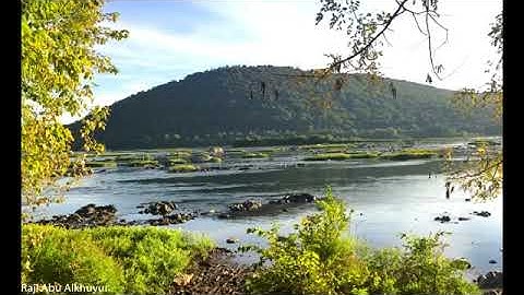 اجمل تلاوة القرآن الكریم...الشیخ محمد الغزالي🥀